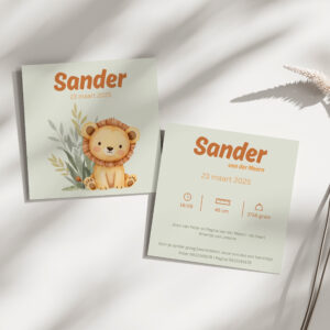 Geboortekaartje Sander